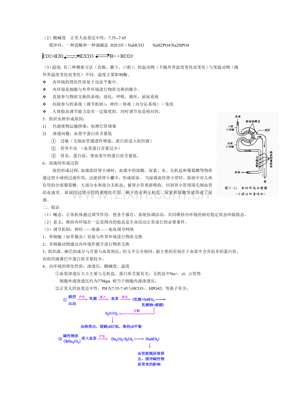 高中生物必修三第一章人体的内环境与稳态知识点教学内容.doc_第2页