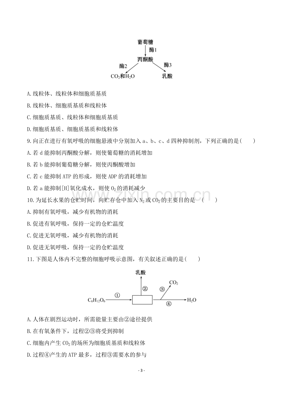 高中生物必修一期末复习小测试8上课讲义.doc_第3页