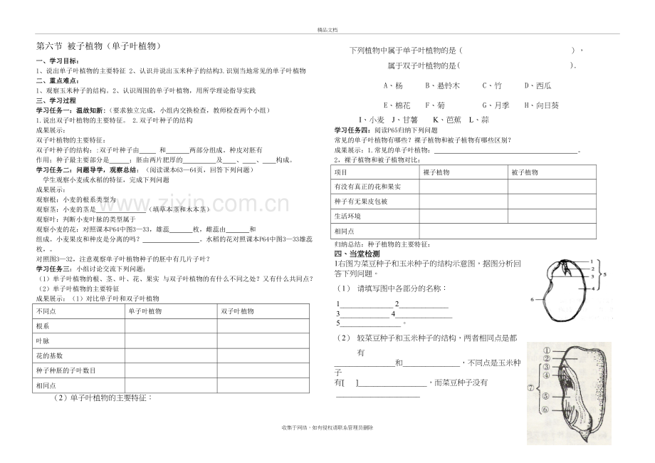 7生物单子叶植物导学案教学文案.doc_第2页