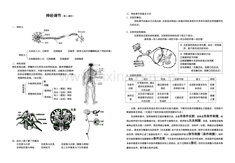 高中生物必修3神经调节详解复习进程.doc_第1页