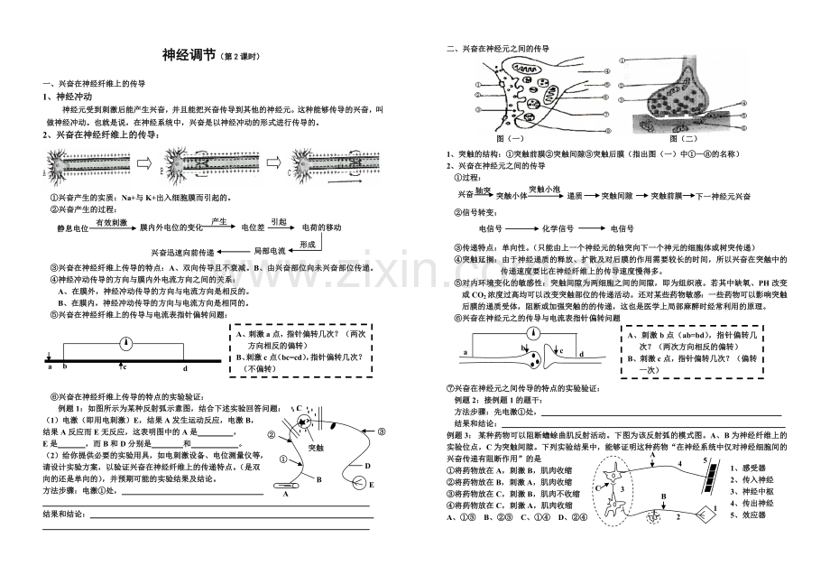 高中生物必修3神经调节详解复习进程.doc_第2页