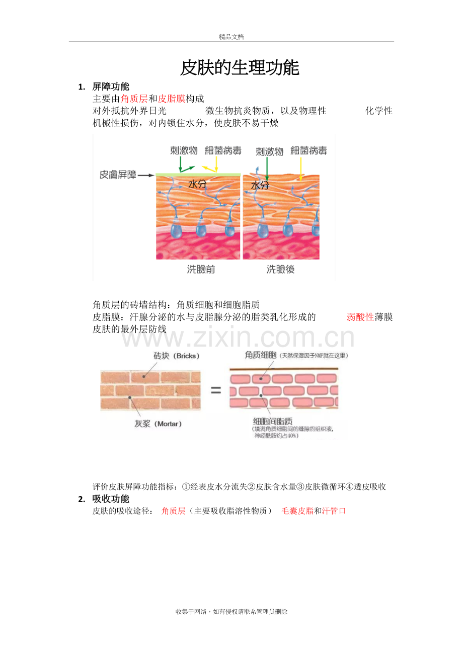 皮肤的生理功能讲课教案.doc_第2页