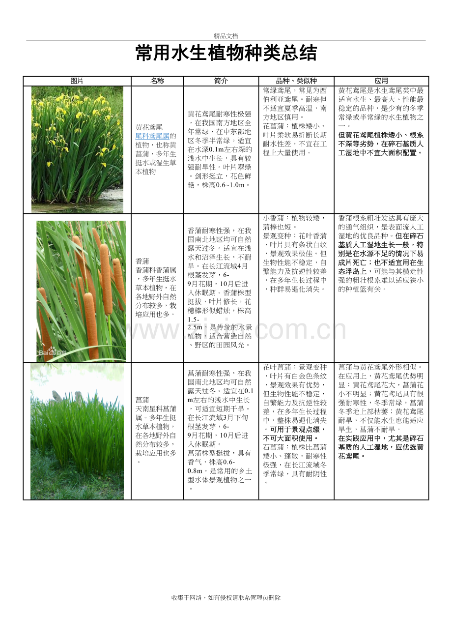 常用水生植物种类汇总doc资料.doc_第2页