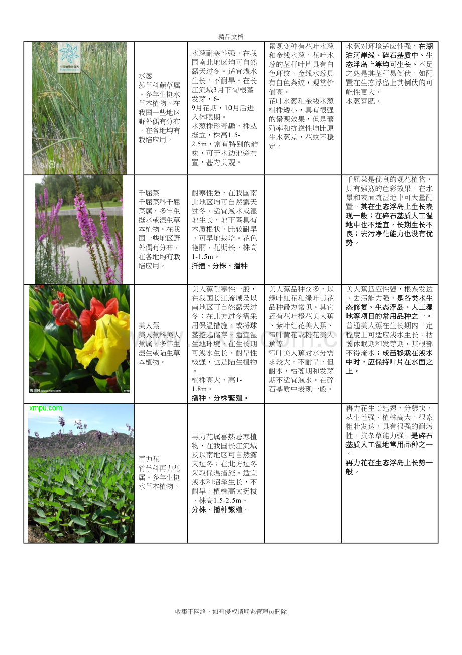 常用水生植物种类汇总doc资料.doc_第3页