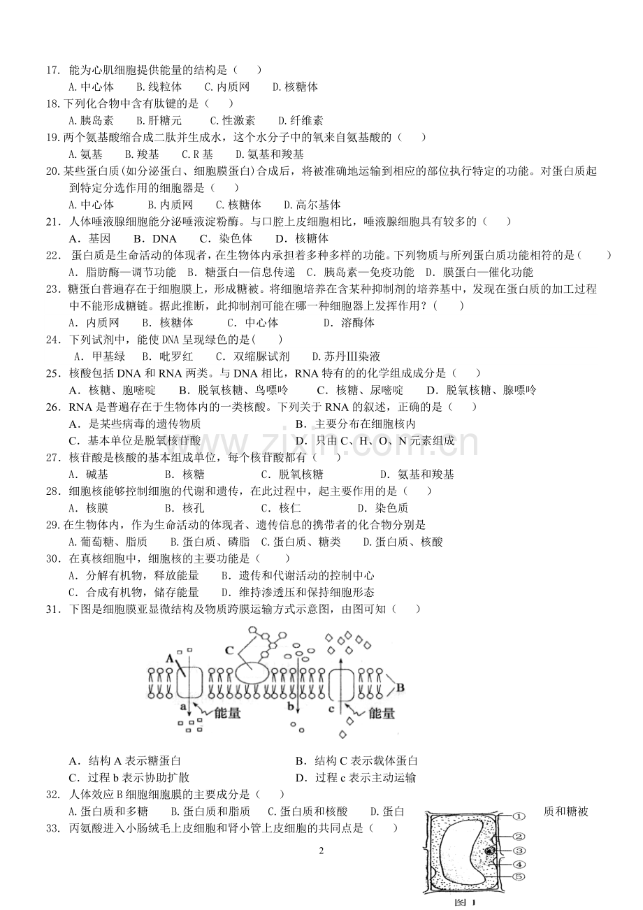 高中生物基础知识测试题教程文件.doc_第2页