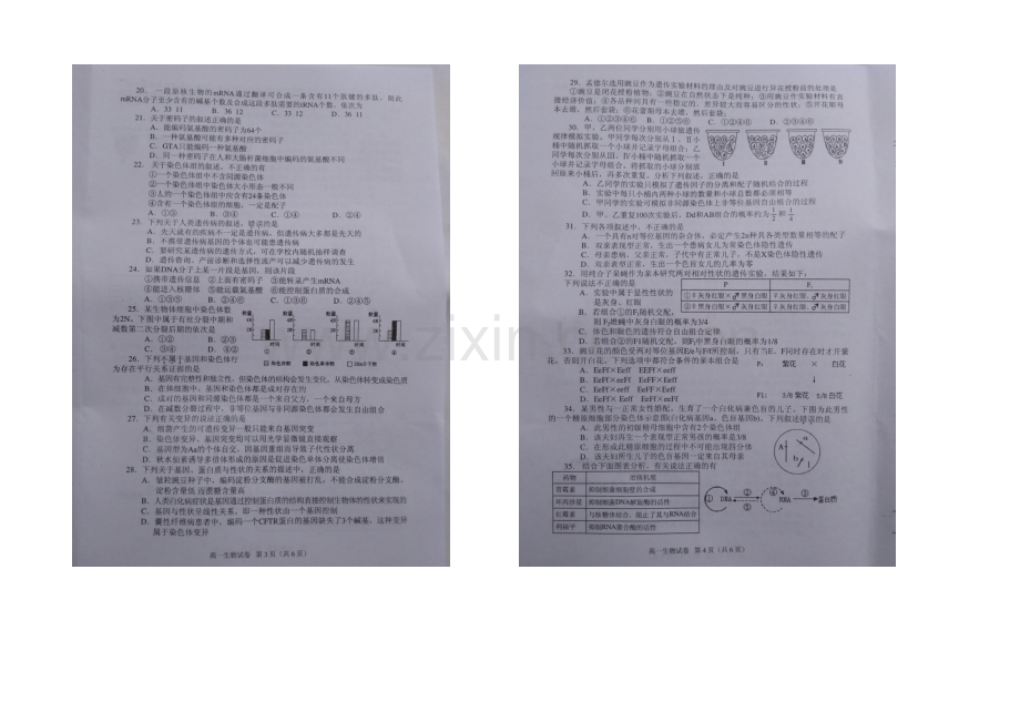 福建省龙海市2020-2021学年高一下学期期末质量监控抽查生物试题-扫描版含答案.docx_第2页