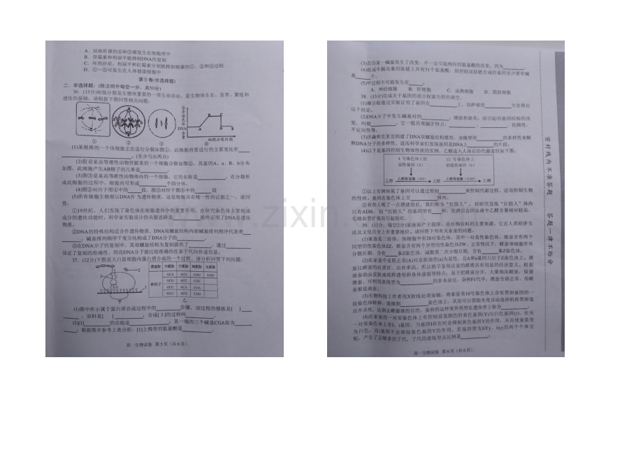 福建省龙海市2020-2021学年高一下学期期末质量监控抽查生物试题-扫描版含答案.docx_第3页