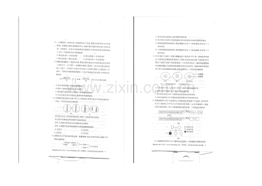 湖南师大附中2021-2022学年高二上学期第一次阶段性检测-生物-扫描版含答案.docx_第2页