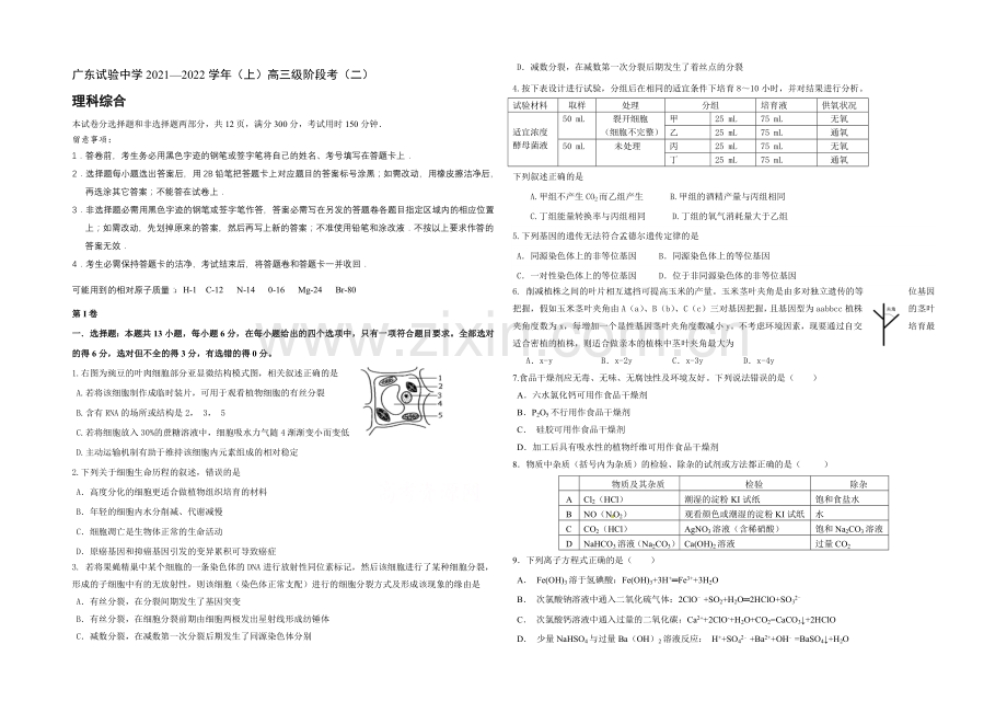 广东省广州实验中学2022届高三上学期第二次阶段性考试理科综合试卷-Word版含答案.docx_第1页