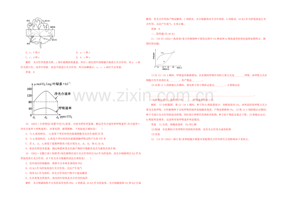 2021高三生物二轮限时训练---光合作用与细胞呼吸1.docx_第3页