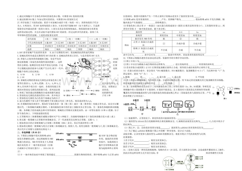 黑龙江省牡丹江一中2022届高三上学期10月月考试题-生物-Word版含答案.docx_第3页