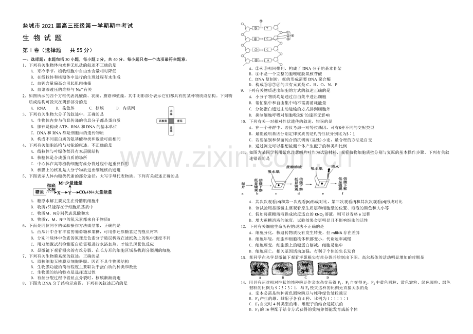 江苏省盐城市2021届高三上学期期中考试--生物-Word版含答案.docx_第1页