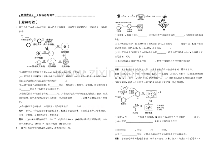 2021版生物二轮专题复习(江苏版)通关2-高频考点8.docx_第1页