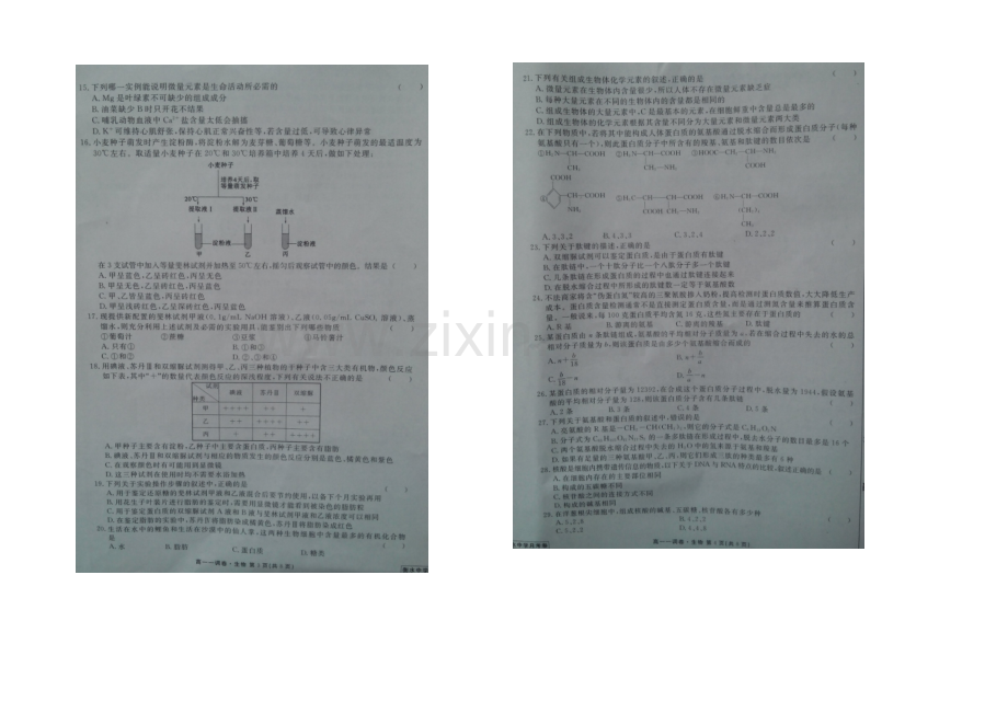 【全国百强校】河北省衡水中学2020-2021学年高一上学期一调考试生物试题扫描版含答案.docx_第2页