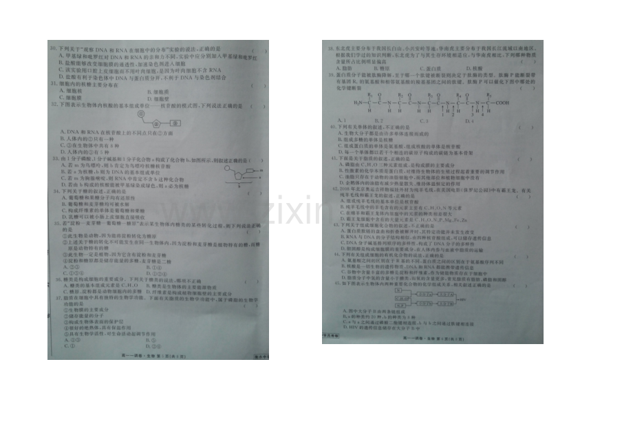 【全国百强校】河北省衡水中学2020-2021学年高一上学期一调考试生物试题扫描版含答案.docx_第3页