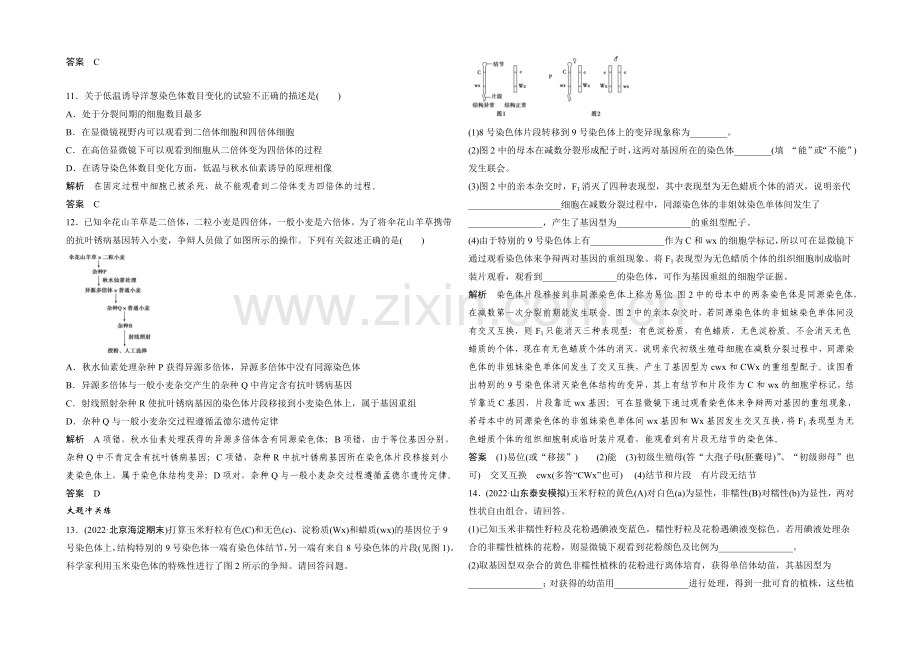 2022年高三生物(人教版)一轮复习-基础课时案22-染色体变异-课后训练.docx_第3页