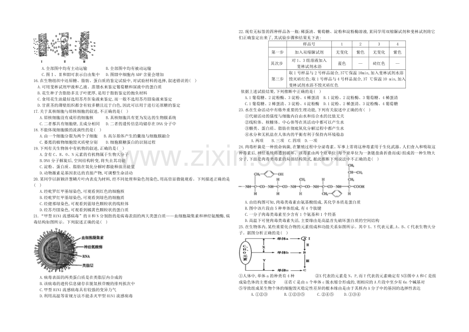 福建省莆田二十四中2021届高三上学期期中考试生物-Word版含答案.docx_第2页