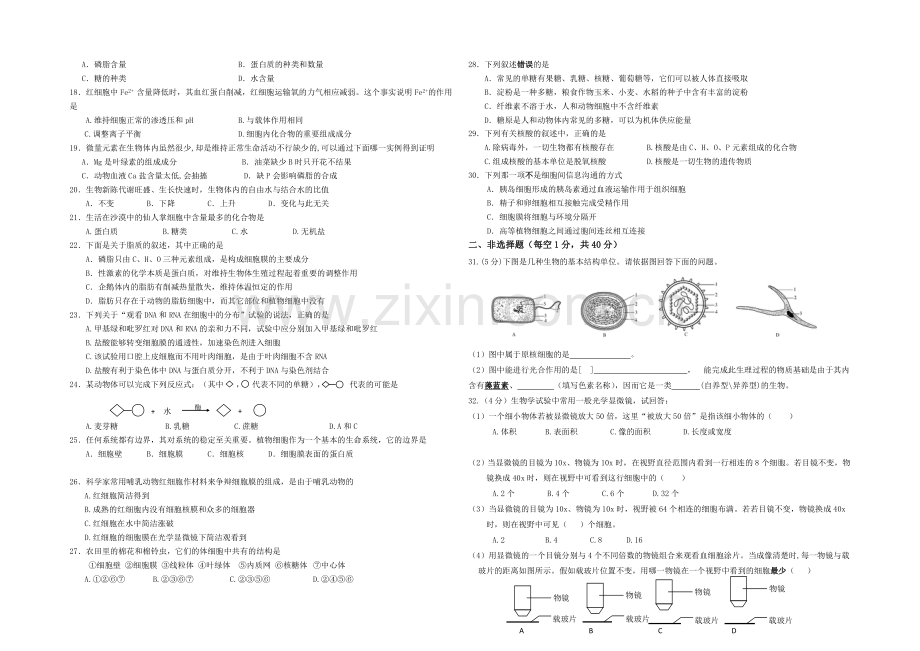 福建省诏安县桥东中学2020—2021学年高一上学期期中考试生物-Word版含答案.docx_第2页