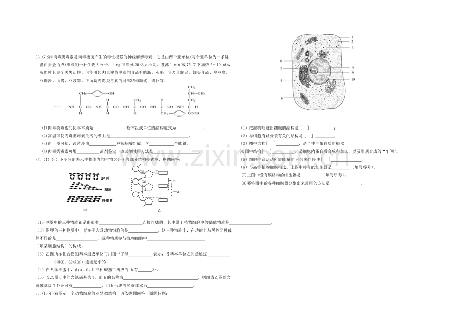 福建省诏安县桥东中学2020—2021学年高一上学期期中考试生物-Word版含答案.docx_第3页