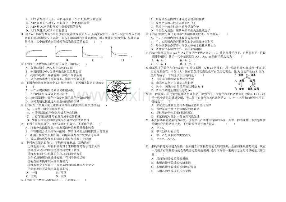 四川省树德中学2020-2021学年高一下学期4月月考生物-Word版含答案.docx_第2页