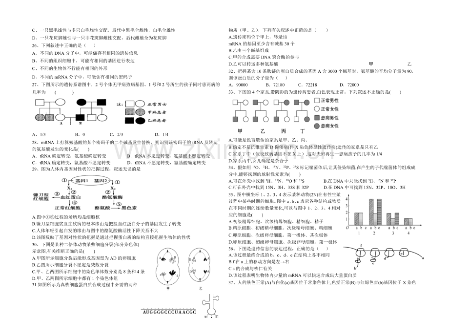 福建省漳浦三中2021届高三上学期第二次调研考生物-Word版含答案.docx_第3页