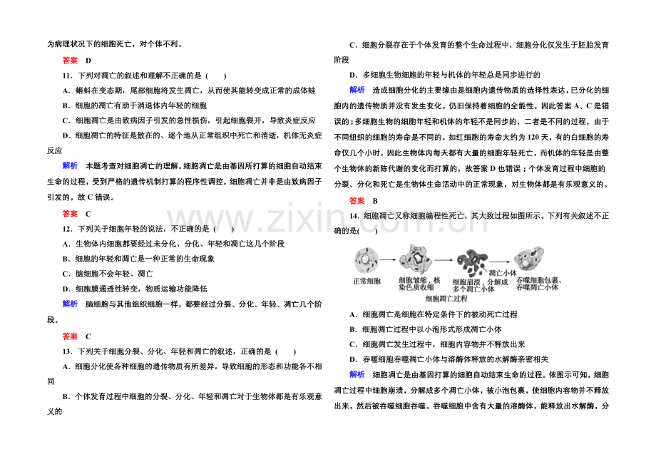 2020-2021学年高中生物(人教版)必修一双基限时练23-细胞的衰老和凋亡.docx_第3页