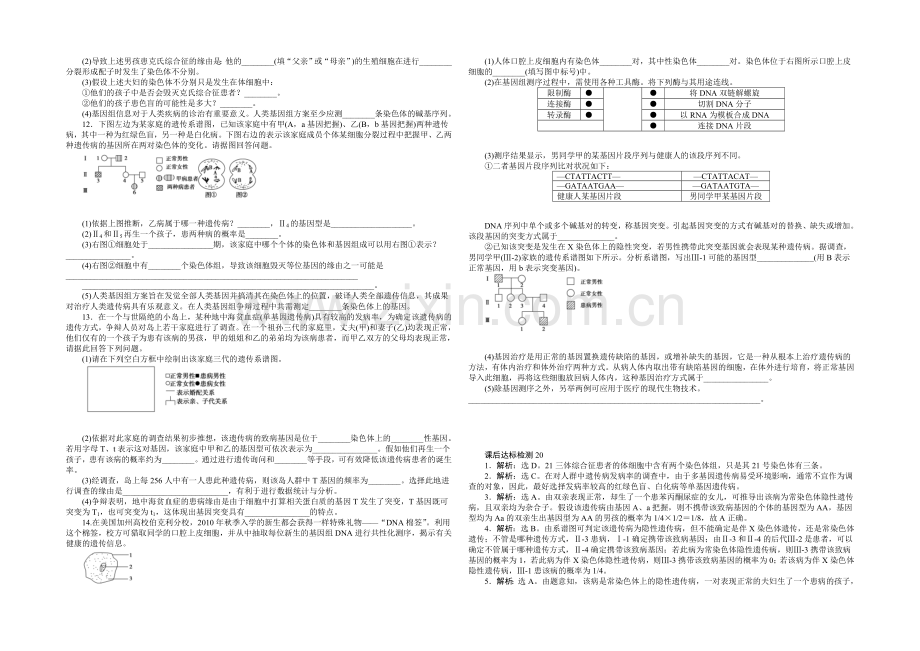 2021高考总复习优化方案生物-课时课后达标检测20人类遗传病-Word版含解析.docx_第2页