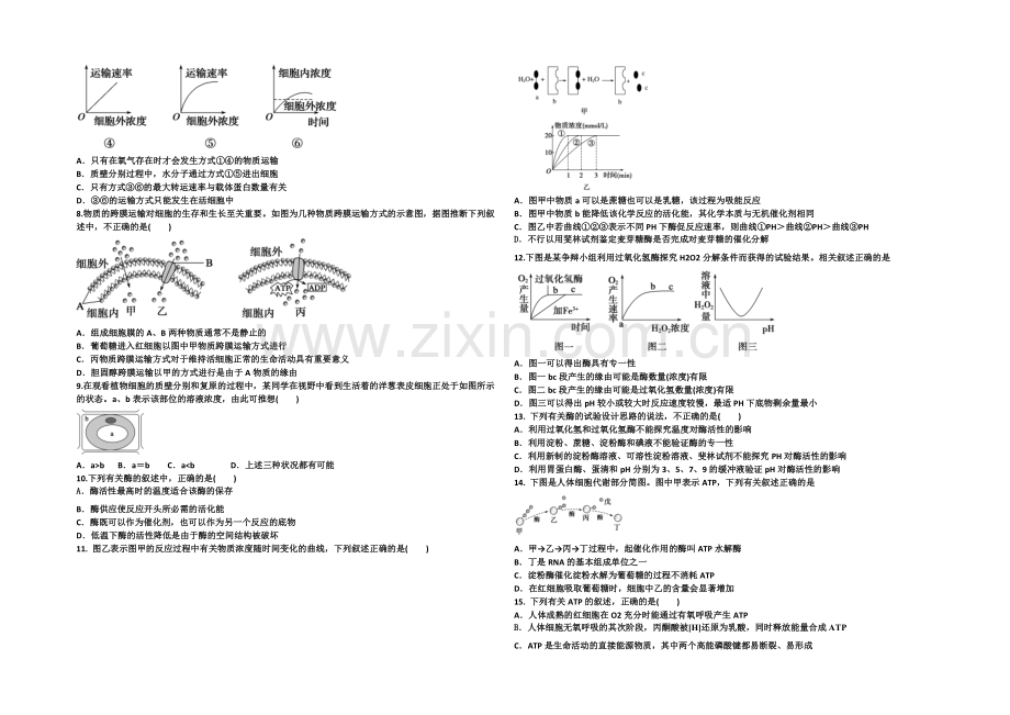 河北省衡水市冀州中学2022届高三上学期第一次月考生物试题B卷-Word版含答案.docx_第2页