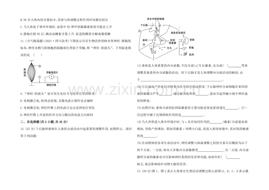 【2021】人教版高二生物必修三练习专训一之神经调节与体液调节(学生版)-Word版缺答案.docx_第3页