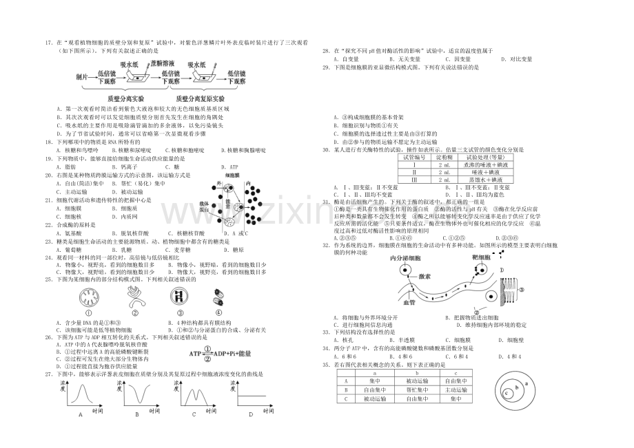 江苏省盐城中学2020-2021学年高一上学期12月月考试题-生物-Word版含答案.docx_第2页