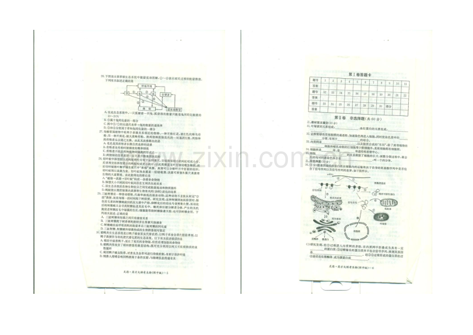 湖南师大附中2022届高三上学期月考试卷(一)-生物-扫描版含答案.docx_第3页