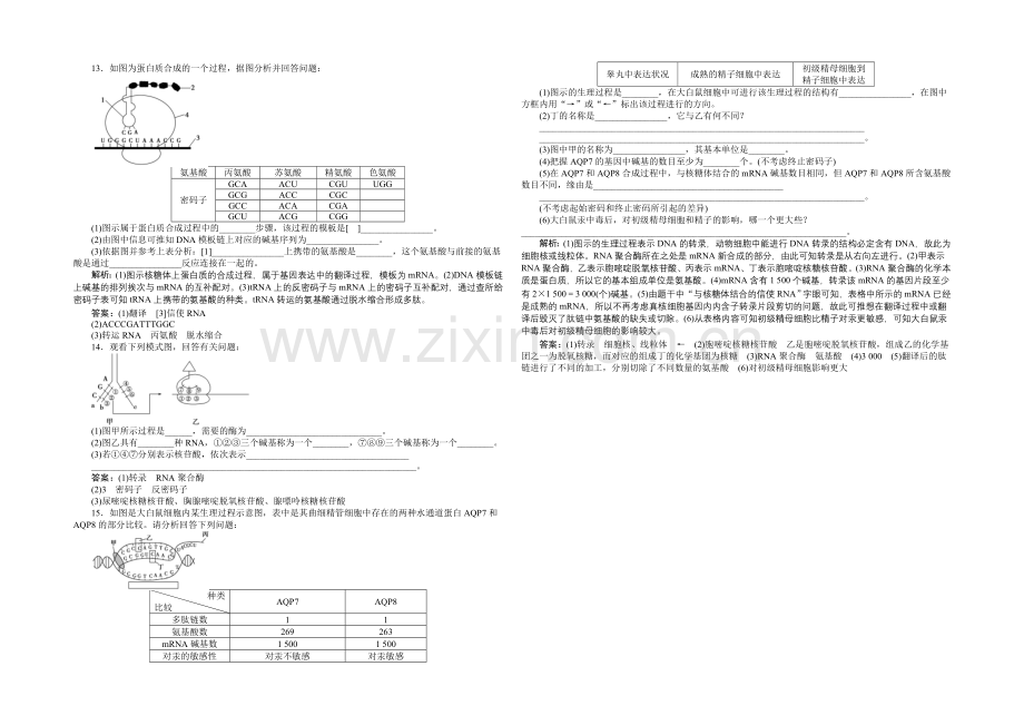 2020-2021学年高一生物(必修2)第四章第1节课时作业-.docx_第2页