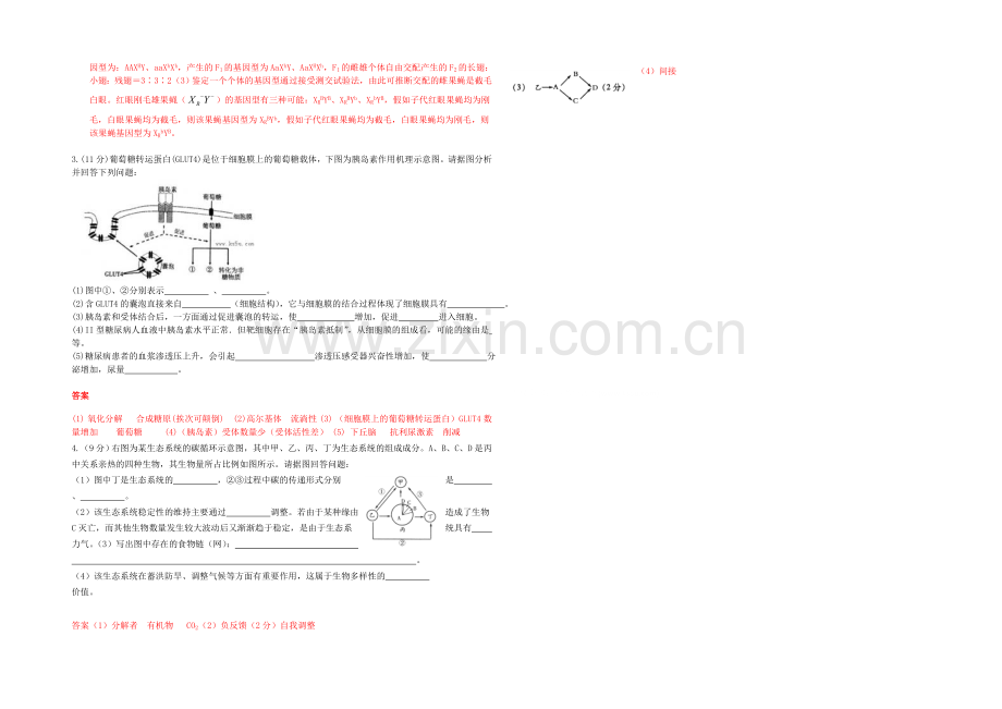 山东省德州市2021届高三下学期考前50题生物系列(德州实验)-Word版含答案.docx_第2页