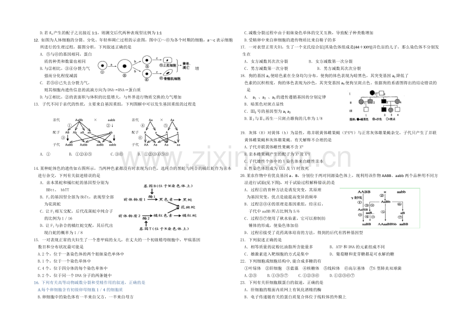 浙江省效实中学2021届高三上学期期中考试生物-Word版含答案.docx_第2页