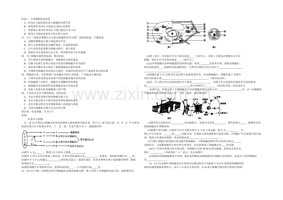 山东省临沂市2020-2021学年高一上学期期期末考试生物试题-Word版含答案.docx_第3页