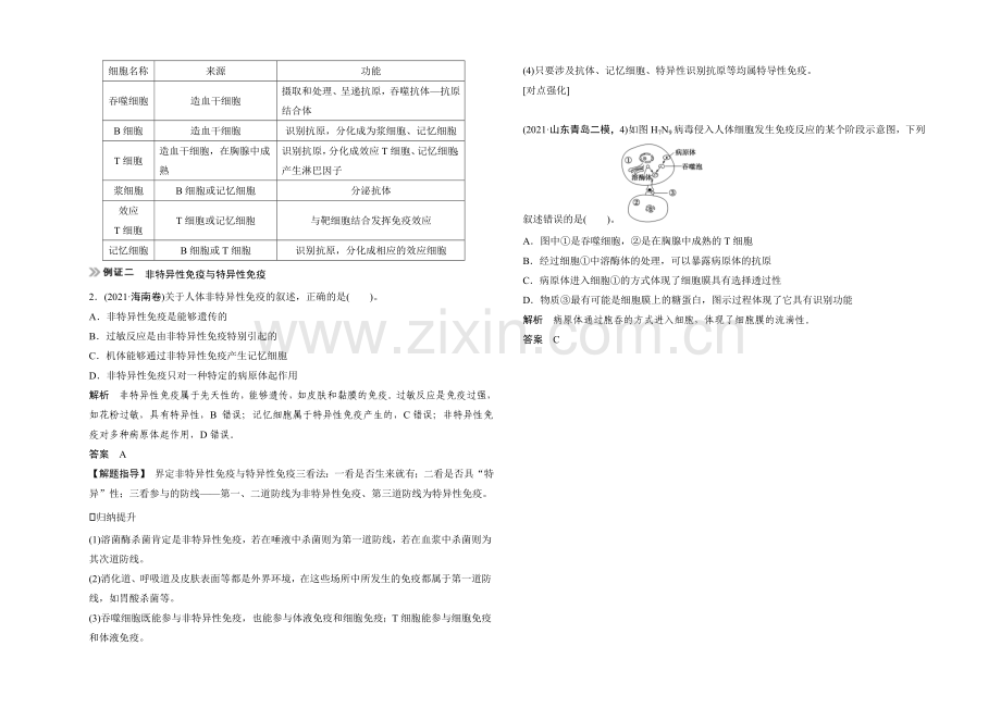 2021高考生物(人教版-山东专用)总复习教学案：必修3-第1单元第4讲-免疫调节.docx_第2页