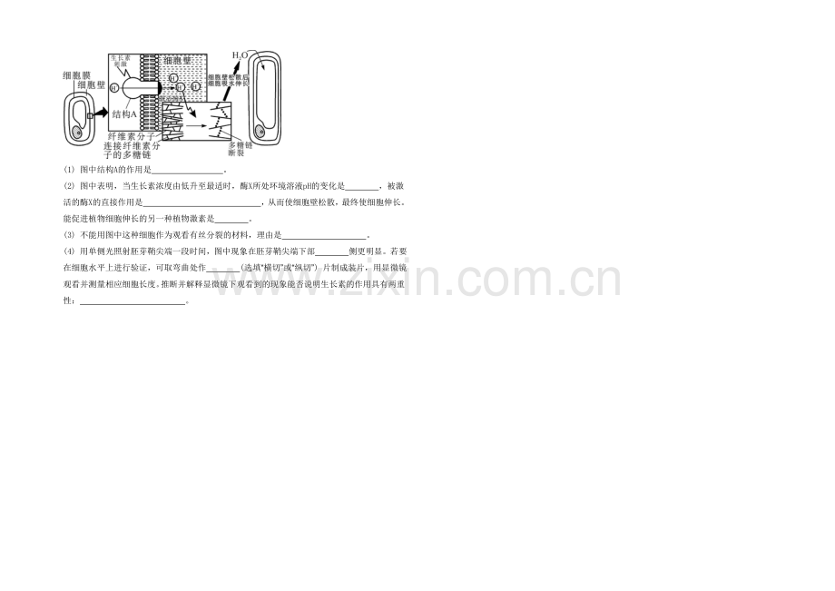 2021高考生物二轮复习提优(江苏专用)专题六-第三讲-植物生命活动的调节23-【检测与评估】-.docx_第3页