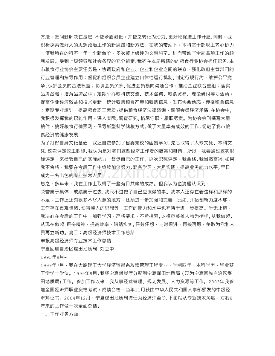 申报高级经济师专业技术工作总结.doc_第2页