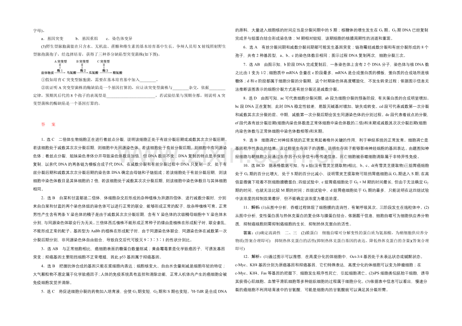 2021年高考生物二轮复习知能专练(四)-细胞系统的发展变化——细胞的生命历程.docx_第3页