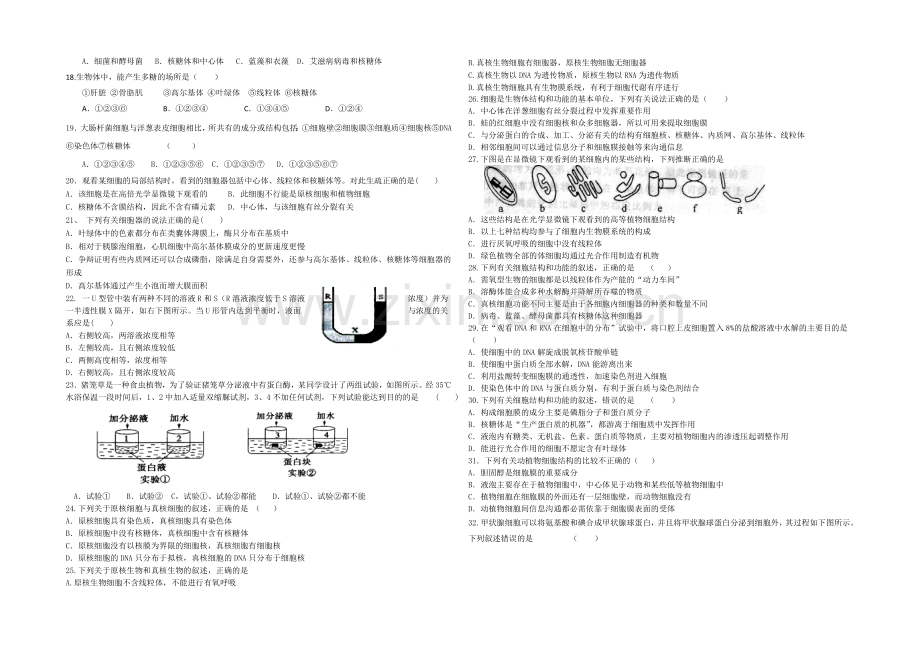 河北省冀州中学2020-2021学年高一上学期期中考试生物试题-Word版含答案.docx_第2页