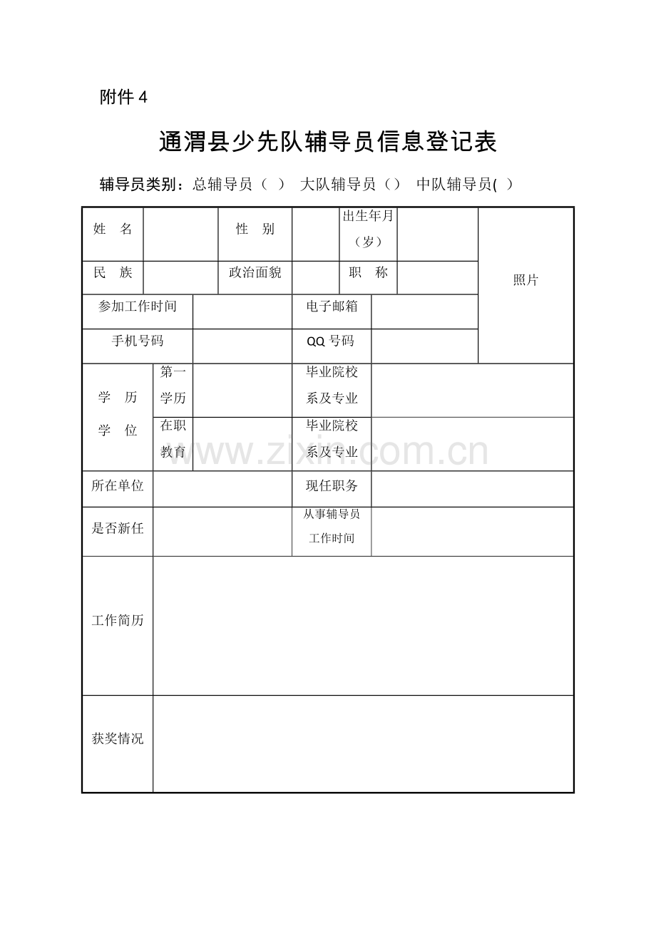 少先队辅导员登记表.doc_第1页