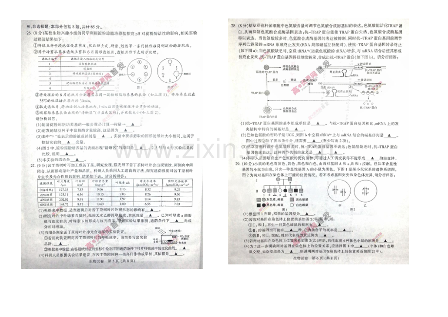 江苏省徐州市2021届高三第三次质量检测-生物-扫描版含答案.docx_第3页