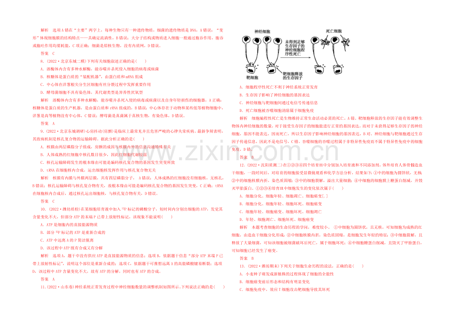 2021高三生物二轮限时训练---专题综合测试1分子与细胞(专题一、二、三).docx_第2页