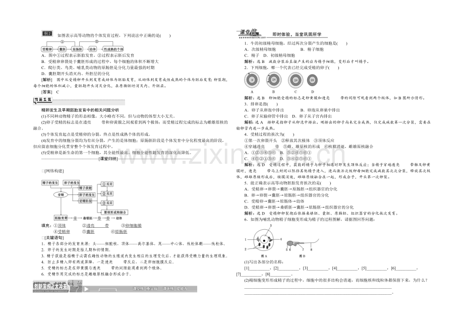 -2022届高三生物一轮复习教师用书-选修3-专题3--3.1体内受精和早期胚胎发育.docx_第3页