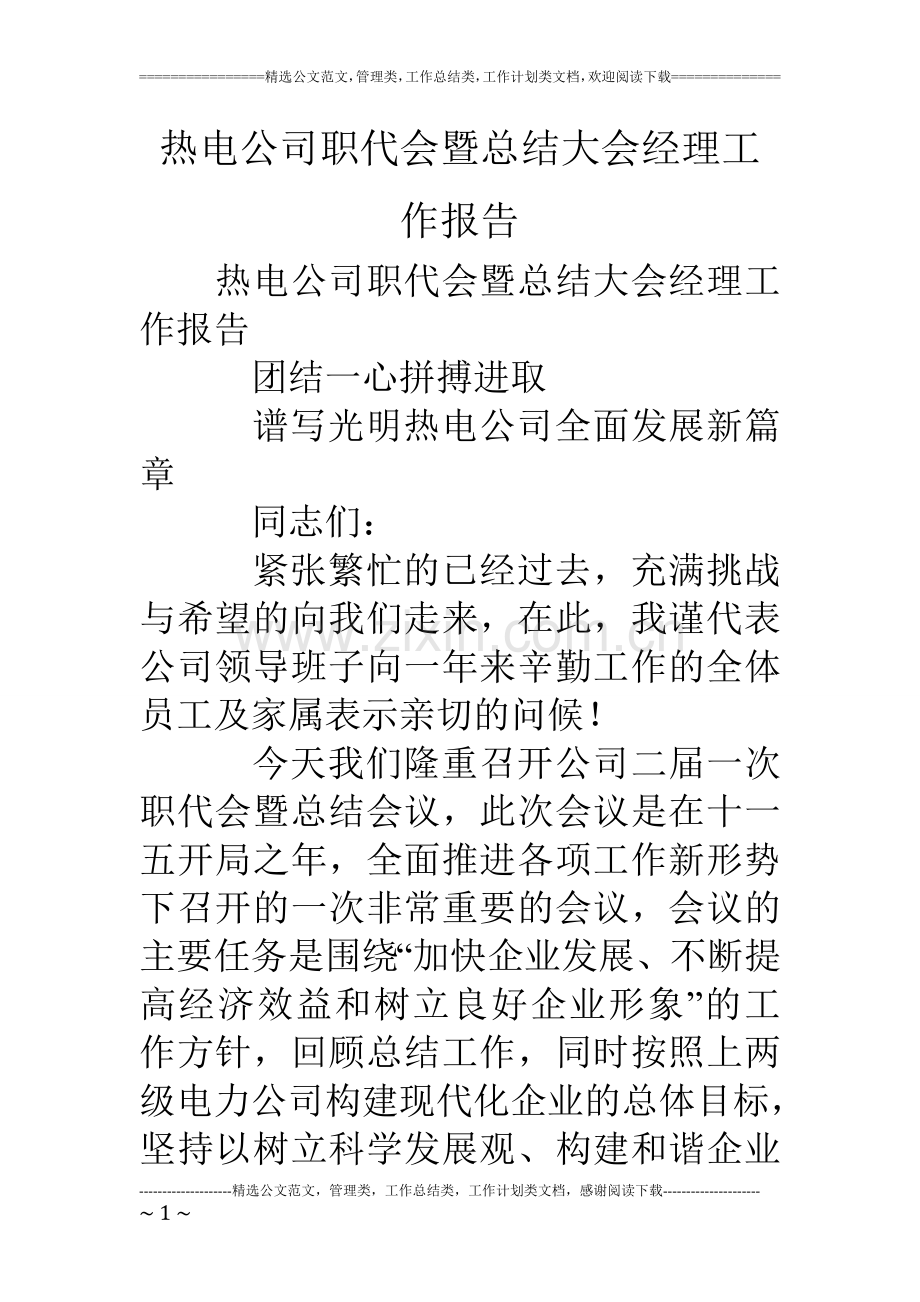 热电公司职代会暨总结大会经理工作报告.doc_第1页