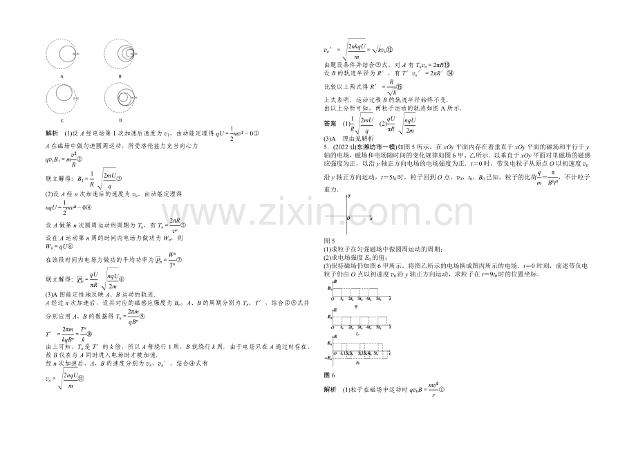 2021高考物理(山东专用)三轮体系大通关-专练19-带电粒子在复合场中的运动.docx_第3页