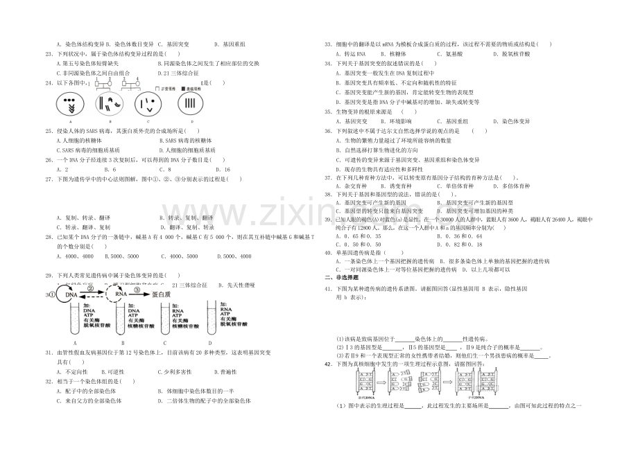 2013-2020学年高一生物(苏教版)下学期期末复习试题(二).docx_第2页