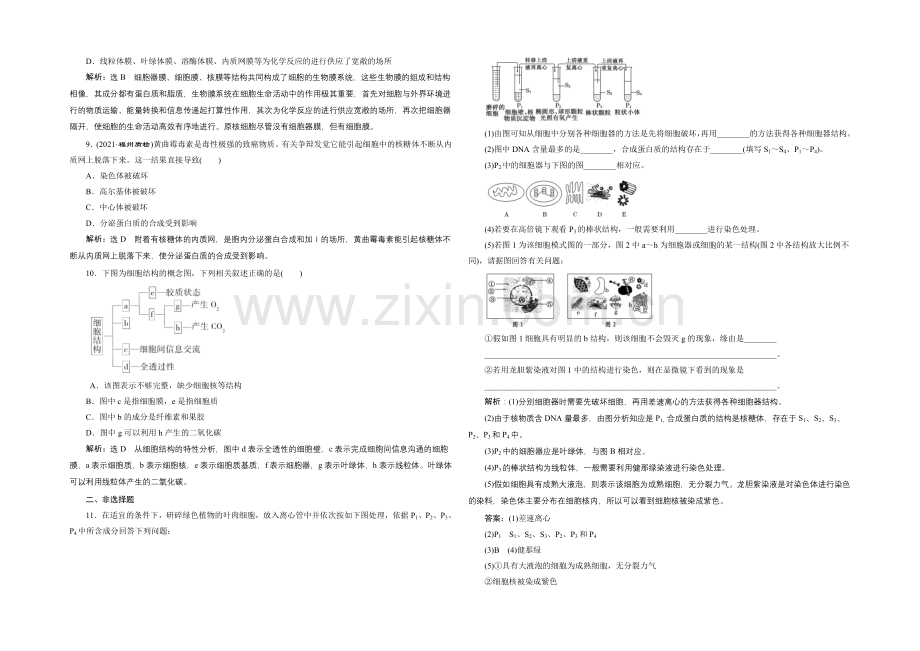 2021高考生物一轮复习训练：必修1--第3章--第2讲--细胞器——系统内的分工合作.docx_第2页