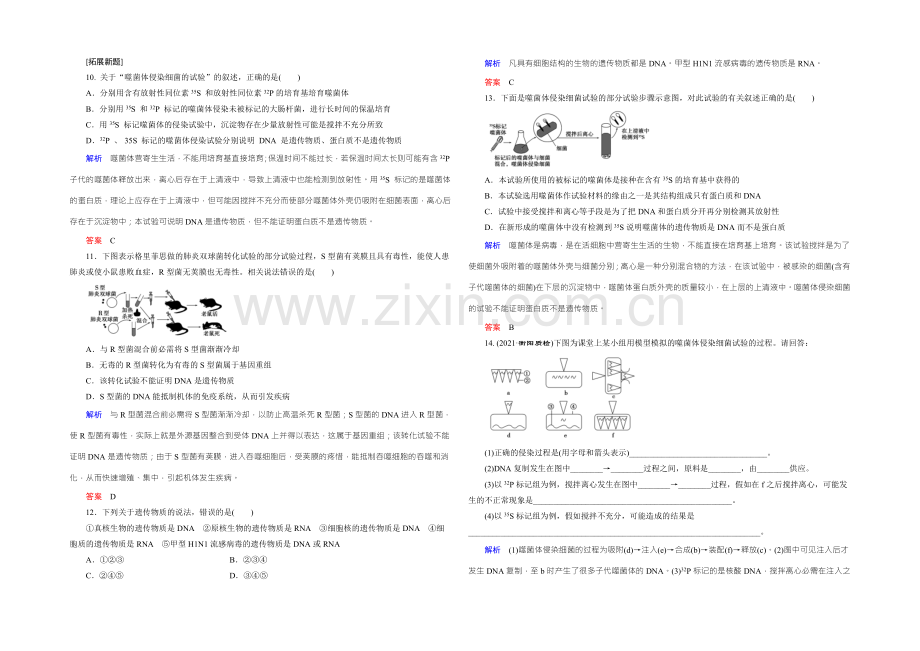 2022届高三生物一轮复习人教版课时作业-第6单元-第16讲-DNA是主要的遗传物质-.docx_第3页