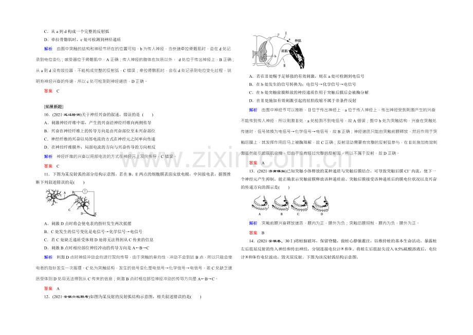 2022届高三生物一轮复习人教版课时作业-第8单元-第23讲-通过神经系统的调节-.docx_第3页